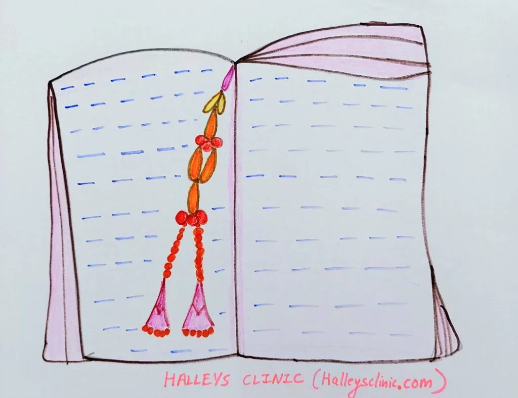 being a student halleys clinic