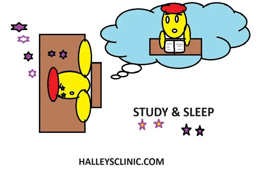 sleepy while studying