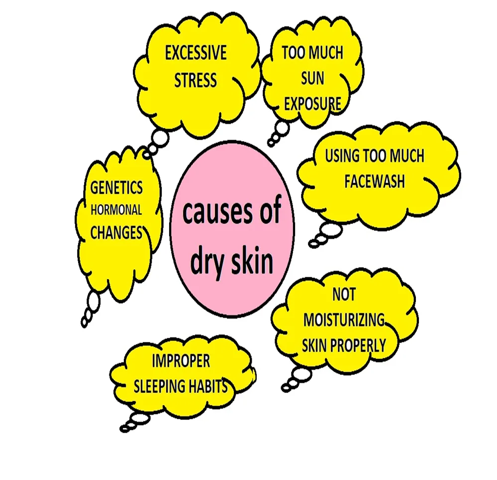 causes of dry skin